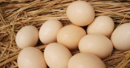 Trứng gà so là gì? Trứng gà con so có tác dụng gì?