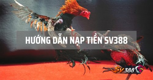 Hướng Dẫn Nạp Tiền Vào Nhà Cái SV388 Đơn Giản Và Dễ Hiểu