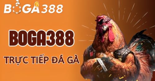 Boga388 – Địa chỉ cá cược đá gà trực tiếp số 1 thị trường