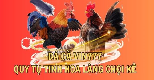 Đá gà Vin777 – Sân chơi lớn của cao thủ yêu thích chọi kê