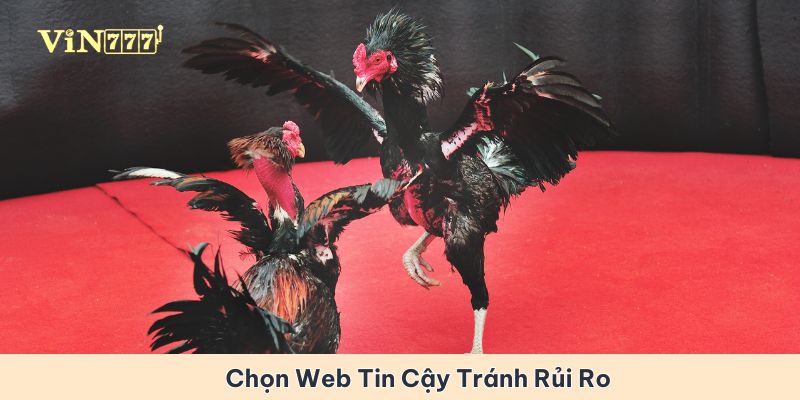 Chọn trang web có độ tin cậy cao để tránh rủi ro an ninh