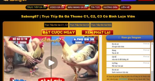 Sabong67: Lựa Chọn Hàng Đầu Cho Trải Nghiệm Đá Gà Trực Tiếp Sống Động