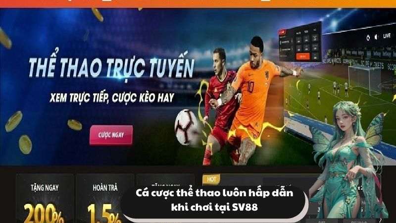 Cá cược thể thao luôn hấp dẫn