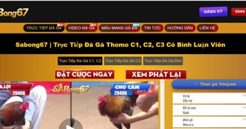 Sabong67: Thế Giới Cá Cược Đá Gà Chất Lượng Nhất Hiện Nay