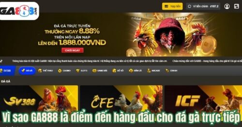 GA888 – Website Đá Gà Trực Tiếp Số 1 Tại Châu Á