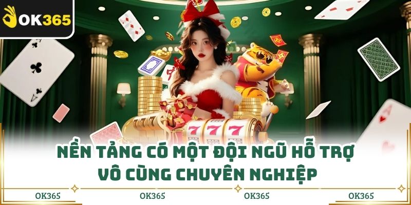 Nền tảng có một đội ngũ hỗ trợ vô cùng chuyên nghiệp